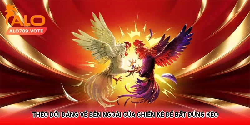 Theo dõi dáng vẻ bên ngoài của chiến kê để bắt đúng kèo